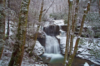 Snowy forest waterfall rocks trees - waterfall free wallpaper
