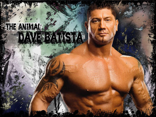 Man tattoo animal poster muscular - david lazar free wallpaper