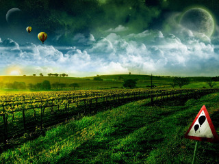 Field sign balloons sky dog - balloon free wallpaper