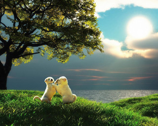 Stuffed animals hill tree water - a hill free wallpaper
