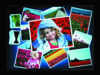 Girl field flowers tulips blue - a blue hat free wallpaper