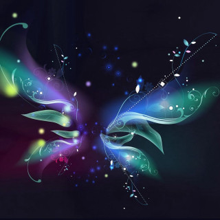 Colorful butterfly black blue red - holography free wallpaper