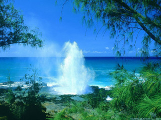 Large wave ocean sunny day 3 - adam willaerts free wallpaper