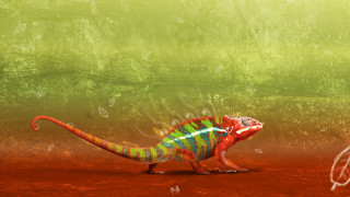 Colorful lizard red surface green 2 - a green background free wallpaper