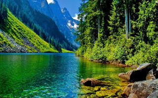 Mountain lake forest trees rocks - a mountain range in the background free wallpaper