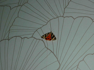 Butterfly fan shaped object room - environment free wallpaper