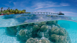 Coral reef pier boat water 2 - the water below free wallpaper