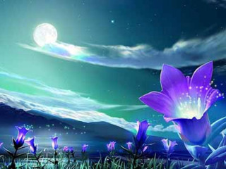 Flower night sky full moon 2 - full free wallpaper