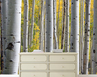 Dresser forest mural wall trees - high detail 8 k free wallpaper