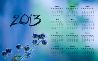 2013 calendar blue flower blue - cheng shifa free wallpaper