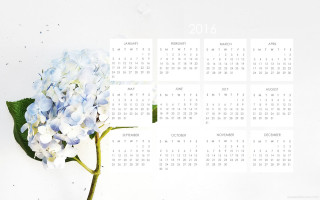 Blue flower calendar green leaf - claire dalby free wallpaper