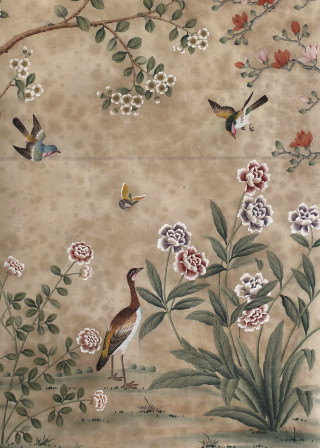 Birds flowers wall tree branch - exquisite free wallpaper