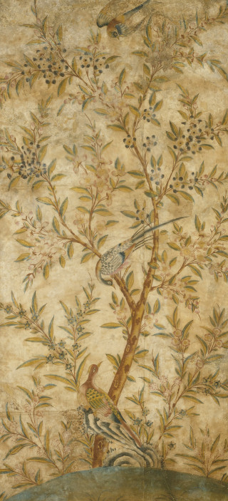 Bird tree branch perched painting - a tree branch free wallpaper