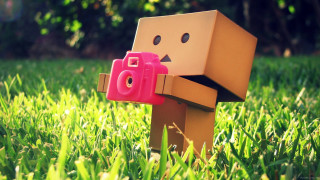 Toy camera cardboard figure grass - its back free wallpaper