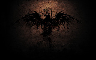 Bird large wings dark background - large wing free wallpaper