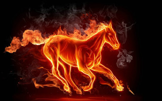 Horse running fire field black 6 - a fire free wallpaper