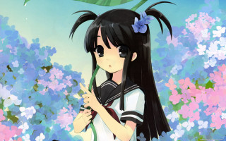 Girl black hair umbrella field - ayako rokkaku free wallpaper