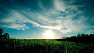 Sunset field trees blue sky 2 - grass free wallpaper