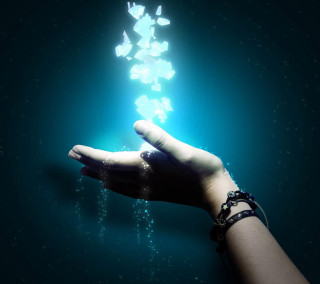 Person holding butterfly hand butterflies 2 - a person holding free wallpaper