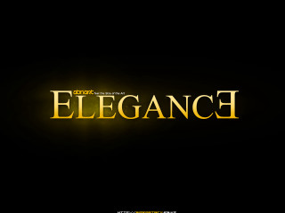 Black background elegance gold letters - a flemish baroque free wallpaper