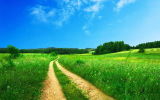 Dirt road lush green field 4 - both side of it free wallpaper