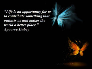 Butterfly flying dark quote opportunity - us free wallpaper