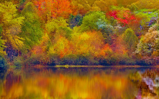 Autumn lake forest leaves sunset - impressionist painting free wallpaper