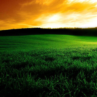 Field sunset red sky clouds - a sunset in the background free wallpaper