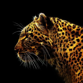 Leopard closeup fireworks glow kaijuu - a close up of a leopards face free wallpaper