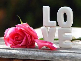 Rose love wooden surface romanticism - a wooden surface free wallpaper