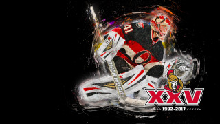 Hockey goalie posing stick helmet - 4 k wallpaper free wallpaper