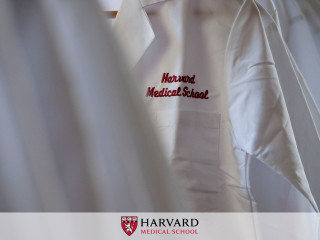 White shirt harvard logos microscopic - left free wallpaper