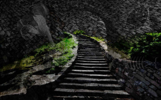 Stone staircase tree hill rock - hill free wallpaper