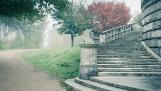 Stone staircase pillar tree foggy - pillar free wallpaper