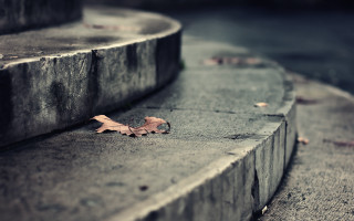 Leaf concrete steps park bench - a few leaf free wallpaper
