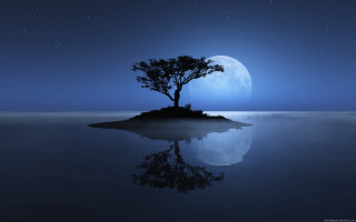 Tree island ocean night full 2 - a small island in the middle of the ocean free wallpaper