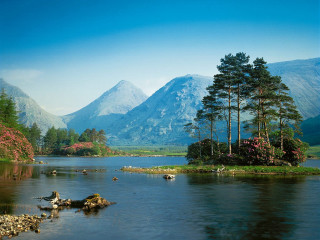 Lake mountains trees rocks birds - alexander johnston free wallpaper