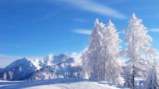 Snowy mountain trees blue sky 12 - minimalism free wallpaper