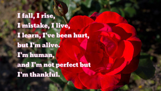 Red rose poem stem green - a poem free wallpaper