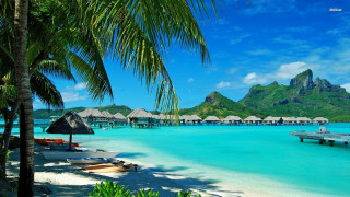 Beach dock palm trees mountain 2 - beautiful scenery free wallpaper for desktop