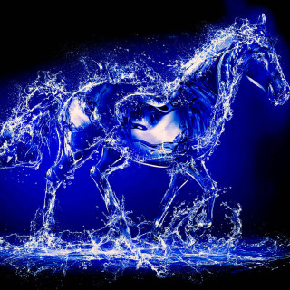 Horse water blue black white - the water free wallpaper