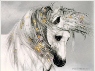 White horse flowers long hair - a white horse free wallpaper