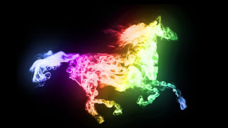 Colorful horse dark background rainbow - the dark free wallpaper