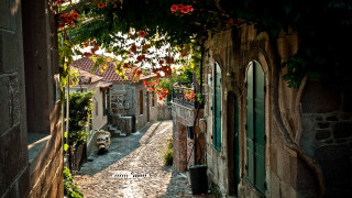 Narrow alley stone building green - narrow free wallpaper