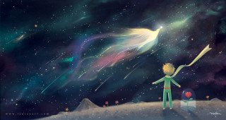 Boy hill bird flying candy - a boy free wallpaper