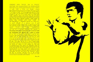 Man holding cat yellow background - andrew law free wallpaper