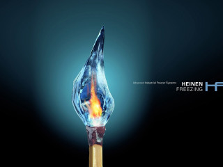 Matchstick lit match black background - a matchstick free wallpaper
