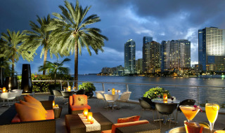 City night palm trees outdoor - table free wallpaper