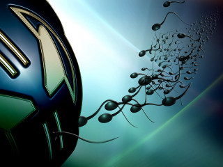 Soccer ball plant background closeup - altichiero free wallpaper