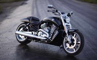 Motorcycle wet road forest black - wet free wallpaper